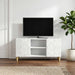 Cabinet TV 102 x 34,5 x 50 cm Alb Lemn prelucrat - WALTI WALTI
