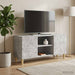 Cabinet TV 102 x 34,5 x 50 cm Gri Beton Lemn prelucrat - WALTI WALTI