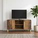 Cabinet TV 102 x 34,5 x 50 cm Lemn vechi Lemn prelucrat - WALTI WALTI