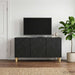 Cabinet TV 99 x 34,5 x 50 cm Negru Lemn prelucrat - WALTI WALTI