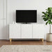 Cabinet TV 99 x 34,5 x 50 cm Alb foarte lucios Lemn prelucrat - WALTI WALTI