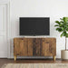 Cabinet TV 99 x 34,5 x 50 cm Lemn vechi Lemn prelucrat - WALTI WALTI