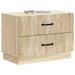 Dulap de noapte cu sertar Stejar Sonoma 62 x 34,5 x 44,5 cm - WALTI WALTI