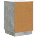 Dulap de noapte Gri Beton 43 x 41 x 63,5 cm Lemn prelucrat - WALTI WALTI