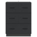 Dulap cu sertare Negru 66 x 34,5 x 87 cm Lemn prelucrat - WALTI WALTI