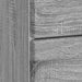 Dulap de noapte Sonoma gri 43 x 41 x 66,5 cm Lemn prelucrat - WALTI WALTI