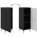 Bufet Negru 33 x 34,5 x 90 cm Lemn prelucrat - WALTI WALTI