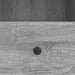 Cabinet TV Sonoma gri 102 x 34,5 x 50 cm Lemn prelucrat - WALTI WALTI