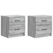 Dulap de noapte cu sertar 2 pcs Sonoma gri 43 x 34,5 x 44,5 cm - WALTI WALTI