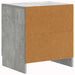 Dulap de noapte Gri Beton 43 x 34,5 x 47 cm Lemn prelucrat - WALTI WALTI