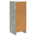 Bufet Gri Beton 33 x 34,5 x 87 cm Lemn prelucrat - WALTI WALTI