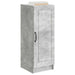 Bufet Gri Beton 33 x 34,5 x 87 cm Lemn prelucrat - WALTI WALTI
