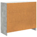 Bufet Gri Beton 89 x 34,5 x 77 cm Lemn prelucrat - WALTI WALTI
