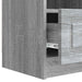 Cabinet TV Sonoma gri 102 x 34,5 x 47 cm Lemn prelucrat - WALTI WALTI