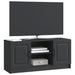 Cabinet TV Negru 102 x 34,5 x 47 cm Lemn prelucrat - WALTI WALTI