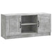 Cabinet TV Gri Beton 102 x 34,5 x 47 cm Lemn prelucrat - WALTI WALTI