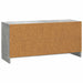 Cabinet TV Gri Beton 99 x 34,5 x 47 cm Lemn prelucrat - WALTI WALTI