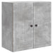 Dulap montat pe perete Gri Beton 59 x 31 x 60 cm Lemn prelucrat - WALTI WALTI