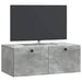 Oglindă TV montată pe perete Gri Beton 78,5 x 41 x 30 cm - WALTI WALTI