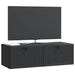 Oglindă TV montată pe perete Pe perete Negru 98 x 41 x 30 cm - WALTI WALTI