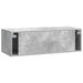 Oglindă TV montată pe perete Gri Beton 98 x 41 x 30 cm - WALTI WALTI