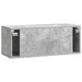 Oglindă TV montată pe perete Gri Beton 78,5 x 31 x 30 cm - WALTI WALTI