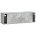 Oglindă TV montată pe perete Gri Beton 98 x 31 x 30 cm - WALTI WALTI