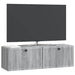 Oglindă TV montată pe perete Sonoma gri 98 x 31 x 30 cm - WALTI WALTI