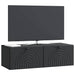 Oglindă TV montată pe perete Pe perete Negru 99 x 41 x 30 cm - WALTI WALTI