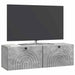 Oglindă TV montată pe perete Gri Beton 98 x 31 x 30 cm - WALTI WALTI