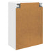 Dulap montat pe perete Alb 66 x 34,5 x 92 cm Lemn prelucrat - WALTI WALTI