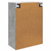 Dulap montat pe perete Gri Beton 66 x 34,5 x 92 cm - WALTI WALTI