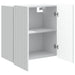 Dulap montat pe perete Alb 59 x 31 x 64 cm Lemn prelucrat - WALTI WALTI