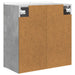 Dulap montat pe perete Gri Beton 59 x 31 x 64 cm Lemn prelucrat - WALTI WALTI