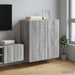 Dulap montat pe perete Sonoma gri 59 x 31 x 64 cm - WALTI WALTI