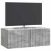 Oglindă TV montată pe perete Gri Beton 78,5 x 41 x 30 cm - WALTI WALTI