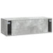 Oglindă TV montată pe perete Gri Beton 98 x 41 x 30 cm - WALTI WALTI