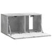 Oglindă TV montată pe perete Gri Beton 59,5 x 31 x 30 cm - WALTI WALTI