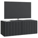 Oglindă TV montată pe perete Pe perete Negru 78,5 x 31 x 30 cm - WALTI WALTI