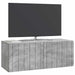 Oglindă TV montată pe perete Gri Beton 78,5 x 31 x 30 cm - WALTI WALTI