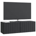 Oglindă TV montată pe perete Pe perete Negru 98 x 31 x 30 cm - WALTI WALTI