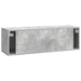 Oglindă TV montată pe perete Gri Beton 98 x 31 x 30 cm - WALTI WALTI