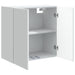 Dulap montat pe perete Alb 59 x 31 x 60 cm Lemn prelucrat - WALTI WALTI