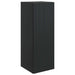 Dulap montat pe perete Negru 33 x 34,5 x 90 cm Lemn prelucrat - WALTI WALTI