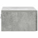 Dulap de noapte suspendat 2 pcs Gri Beton 49 x 34,5 x 20 cm - WALTI WALTI