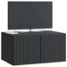 Oglindă TV montată pe perete Pe perete Negru 59,5 x 41 x 30 cm - WALTI WALTI