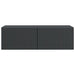 Oglindă TV montată pe perete Pe perete Negru 98 x 41 x 30 cm - WALTI WALTI