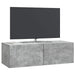 Oglindă TV montată pe perete Gri Beton 98 x 41 x 30 cm - WALTI WALTI