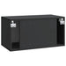 Oglindă TV montată pe perete Pe perete Negru 59,5 x 31 x 30 cm - WALTI WALTI