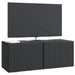 Oglindă TV montată pe perete Pe perete Negru 78,5 x 31 x 30 cm - WALTI WALTI